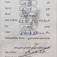 سگ ژرمن|سگ|کرج, باغستان|دیوار