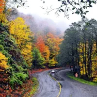 فروش حواله سمند سورن