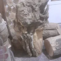 چوب مخصوص آتش|خدمات باغبانی و درختکاری|رفسنجان, |دیوار