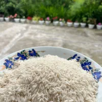 برنج خالص هاشمی