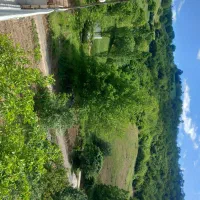 اجاره ویلا باغ