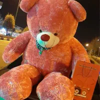 فروش خرس تدی