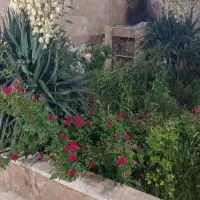 1600متر زمین فروشی ملکی واقع در شاهنامه 36