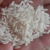 برنج طارم هاشمی ( گیلان و مازندران )|خوردنی و آشامیدنی|ورامین, ورامین|دیوار
