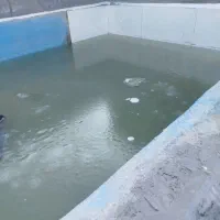 باغ-نهضت-آباد