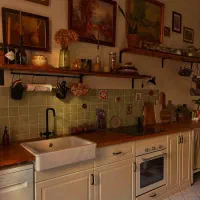 همخونه خانم میخوام