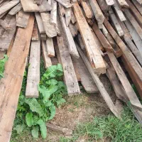 چوب رایگان|عمدهفروشی|ماسال, |دیوار