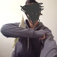 عروس هلندی|پرنده|ری, ظهیرآباد|دیوار