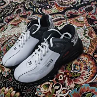 کفش نو|کیف، کفش، کمربند|آران و بیدگل, |دیوار