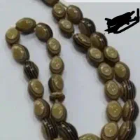 تسبیح معاوضه با وسایل دوچرخه تاشو