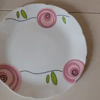 سرویس آکروپال در حد نو|ظروف سرو و پذیرایی|تهران, منیریه|دیوار