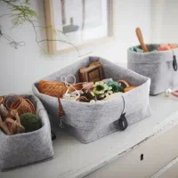 نظم دهنده
