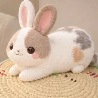 بچه خرگوش کیوت