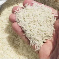 برنج طارم هاشمی درجه ۱ شمال|خوردنی و آشامیدنی|کرج, فاز ۵ مهرشهر|دیوار