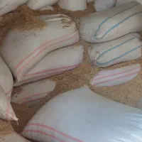 کاه گندم تمیز