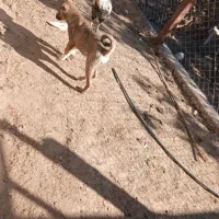 باسلام خدمت عشقبازان