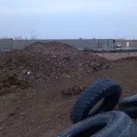 کود گوسفندی