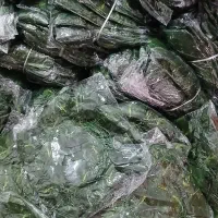 ریسه برگ ۱۲ عددی|گل مصنوعی|تهران, خاک سفید|دیوار