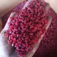 فروش عمده زرشک قائن/زرشک درجه یک خراسان جنوبی