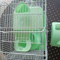 قفس همستر وارداتی با هدیه|لوازم جانبی حیوانات|قزوین, |دیوار