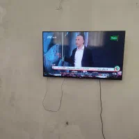 تلوزیون