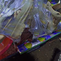 ۲جفت پوتین هر عدد یک تمن|کفش و لباس بچه|جوانرود, |دیوار