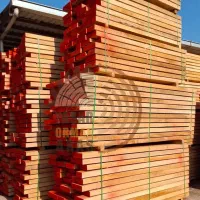 پخش الوار چوب راش و توسکا سراسر ایران|عمده‌فروشی|تهران, سردارجنگل|دیوار