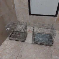 قفس  سهره عروس هلندی|لوازم جانبی حیوانات|قدس, شهر‌قدس|دیوار