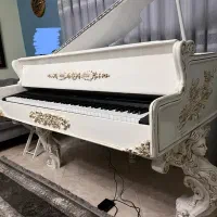 اجاره پیانو گرند با نوازنده پیانو وخواننده|خدمات پذیرایی، مراسم|تهران, بهجتآباد|دیوار