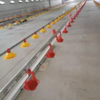 تجهیزات مرغداری|ماشین‌آلات صنعتی|آوج, |دیوار