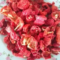 گوجه خشک شده