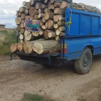 خرید و فروش و برش انواع چوب تر  و خشک|خدمات باغبانی و درختکاری|بوکان, |دیوار