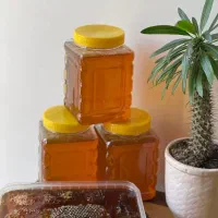 عسل باغی ( دنا شهد)|خوردنی و آشامیدنی|تهران, جیحون|دیوار