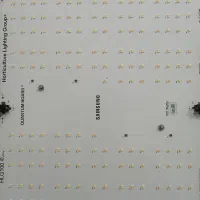 فروش پروژکتور رشد گیاه|گل و گیاه طبیعی|برازجان, |دیوار