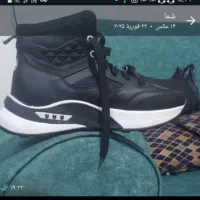 سه جغت کفش نونو|کیف، کفش، کمربند|ایلام, |دیوار