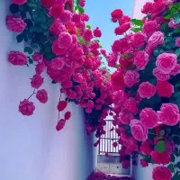 سرویس مدارس و خصوصی