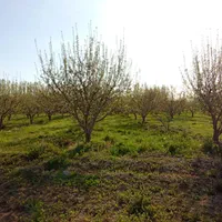 یک ونیم هکتار باغ و زمین کشاورزی درحسین آباد