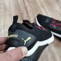 کتونی پوما هیبرید|کیف، کفش، کمربند|مشگین شهر, |دیوار