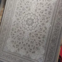 فرش ۱۲۰۰ شانه تراکم ۳۶۰۰|فرش|نسیمشهر, |دیوار