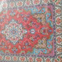فروش دار قالی وقالی ۷۱رج بافته شده