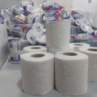 دستمال کاغذی|مواد شوینده و دستمال کاغذی|سمنان, |دیوار