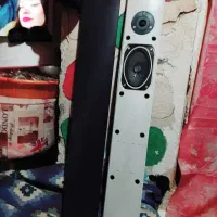 یک جفت باند  سینما خانواده ال جی در حد