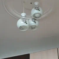 لوسترسه شاخه