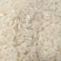 برنج کامفیروزی به شرط پخت