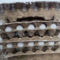 فروش ویژه تخم مرغ دانه ای 14  حداقل 60عدد