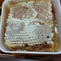 عسل۱۰۰٪خالص(مخلوط۴۰گرم گرده گل) عمده وخرده