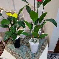 گل ودرختچه مصنوعی ،تنه طبیعی،شکوفه|گل مصنوعی|تهران, نارمک|دیوار