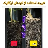 کود ارگانیک کشاورزی