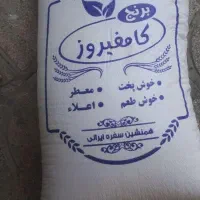 برنج کامفیروزی اصیل و تضمینی