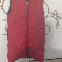 صیاحی
